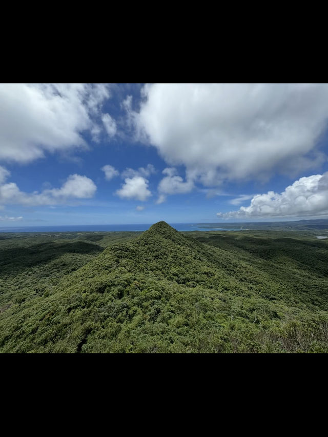【森の息吹を感じる旅】沖縄の秘境「やんばるの森」で自然とふれあう