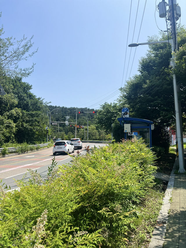 Surfing in Gijang