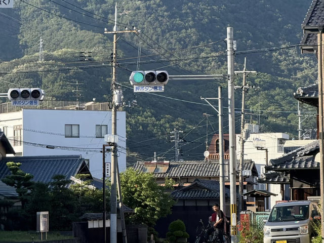 Shodoshima: Beyond the Art Triennale, Discovering its Everyday Charms! 🏝️🌸