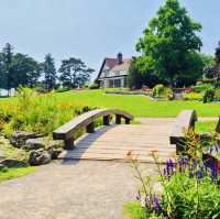 York Gate Garden·英倫花園的詩意午後