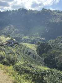 Day Trip to Chiang Mai