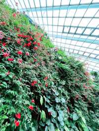 “Discover the Hidden Forest & Crystal Mountain”