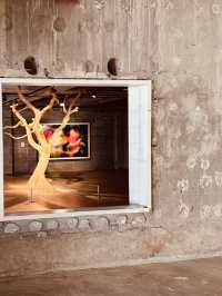 Contemporary Art in a Cinematic Wonderland