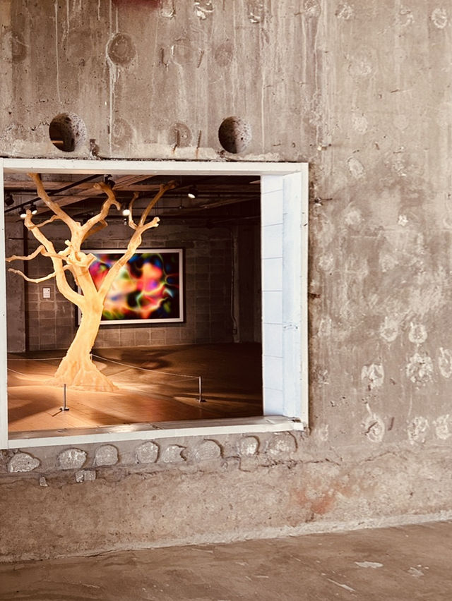 Contemporary Art in a Cinematic Wonderland