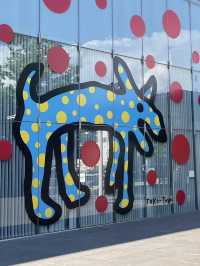 Yayoi Kusama Museum พิพิธภัณฑ์ศิลปะเมืองมัตสึโมโต้
