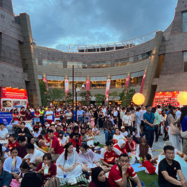    SINGAPORE NATIONAL DAY 🇸🇬  