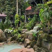 Living the Jungle Dream at Rock & Tree House Resort