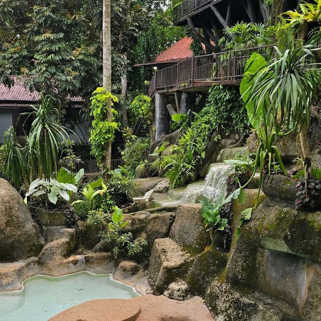 Living the Jungle Dream at Rock & Tree House Resort