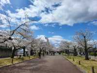 大阪市郊的親子友善景點/萬博紀念公園