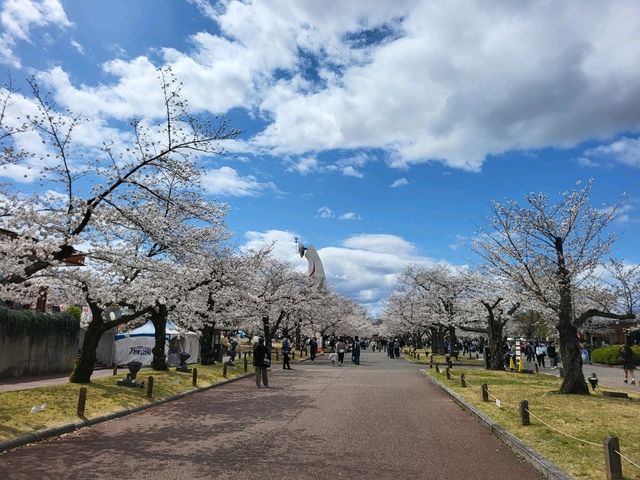 大阪市郊的親子友善景點/萬博紀念公園