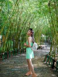 สวนสนุกที่ถ่ายรูปสวยมากที่ดานัง