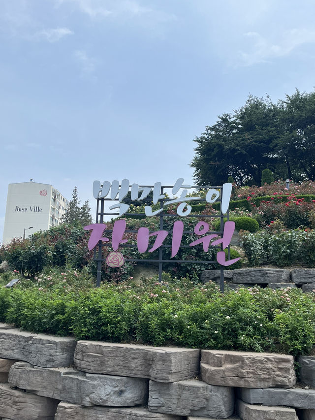 부천 여름 야외 데이트는 바로 여기🌸