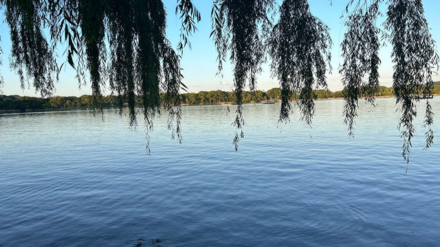 🌿漫遊杭州西湖｜一場與詩意風景的約會，一場心靈出走的行程