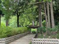 茨城県必遊 日本三大名園 夏日的偕樂園
