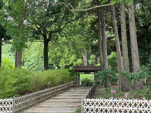 茨城県必遊 日本三大名園 夏日的偕樂園