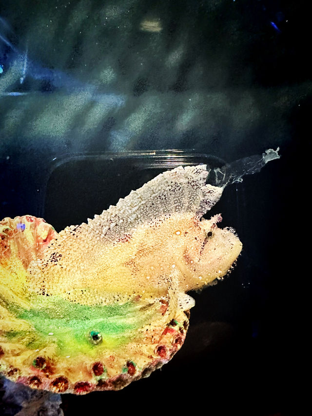 Coastal Currents & Wrecked Wonders at Aquaria KLCC