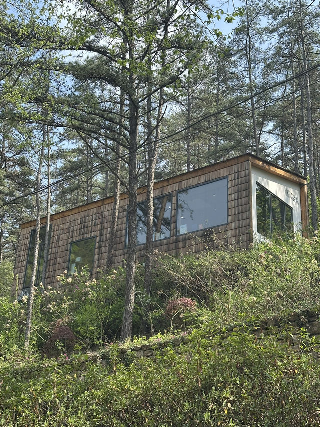 조용한 여유를 느낄 수 있는 전주 도서관