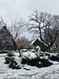 Shirakawago ลุ้นหิมะตกต้นธันวา!