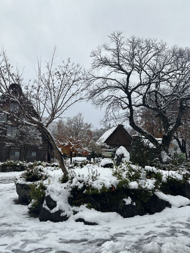Shirakawago ลุ้นหิมะตกต้นธันวา!