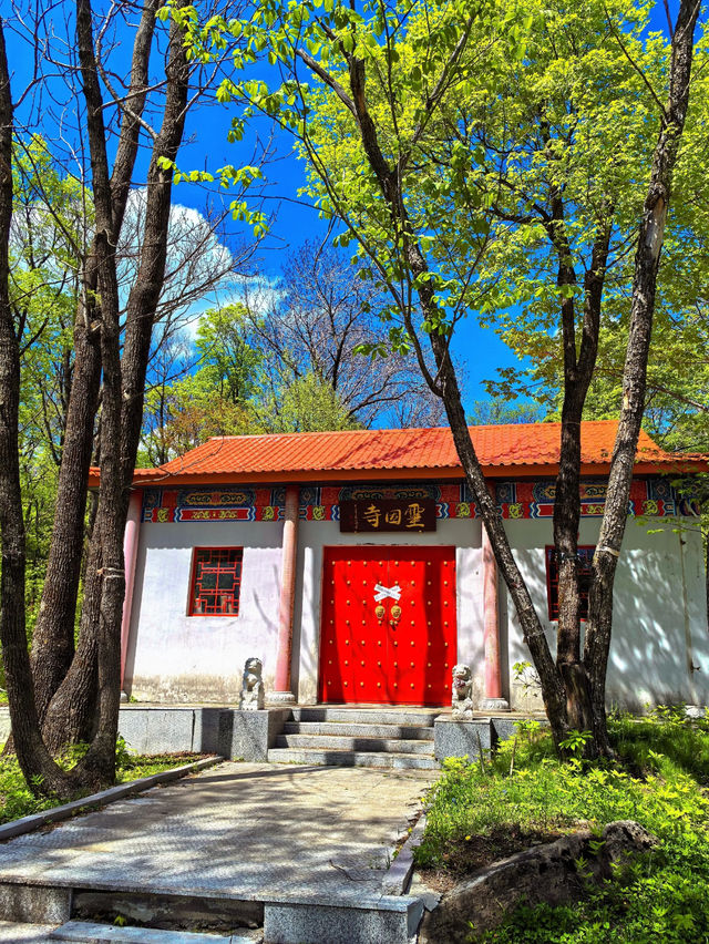 Jinlongshan National Forest Park ☀️ 🌲 