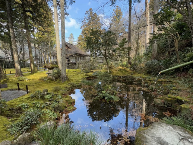 Sanzen-in Temple, Kyoto: A Serene Escape Worth Exploring! 🌸🍵