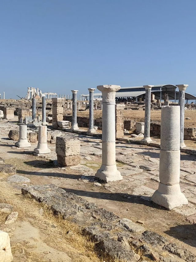 天空の図書館と劇場、ペルガモン遺跡で古代ギリシャの知と美に触れる旅。 
