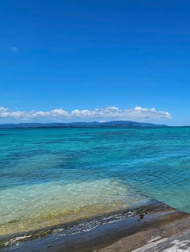 竹富島～夏の思い出～