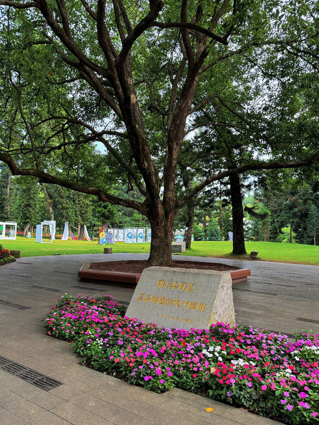 Wanshi Botanical Garden 🌺 