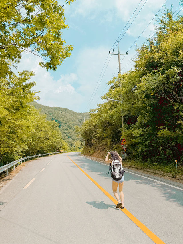 물놀이 즐기기 좋은 국내 여행지 추천🌳