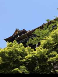 【清水寺】京都旅のスタートはここから！絶景と歴史に心奪われるひととき✨