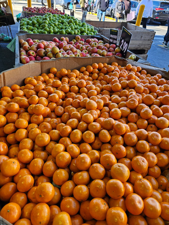 Farm-Fresh Finds at Dandenong market