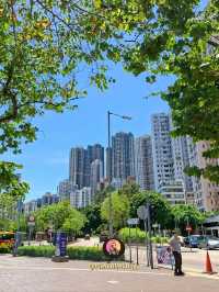 เดินชิลล์ที่ย่าน Kennedy Town