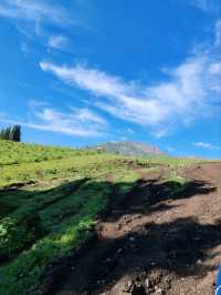 My First Horseback Riding Adventure on the Grassland