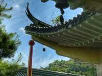 南投.日月潭輕旅行
