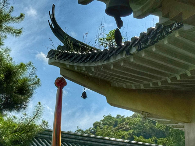 南投.日月潭輕旅行