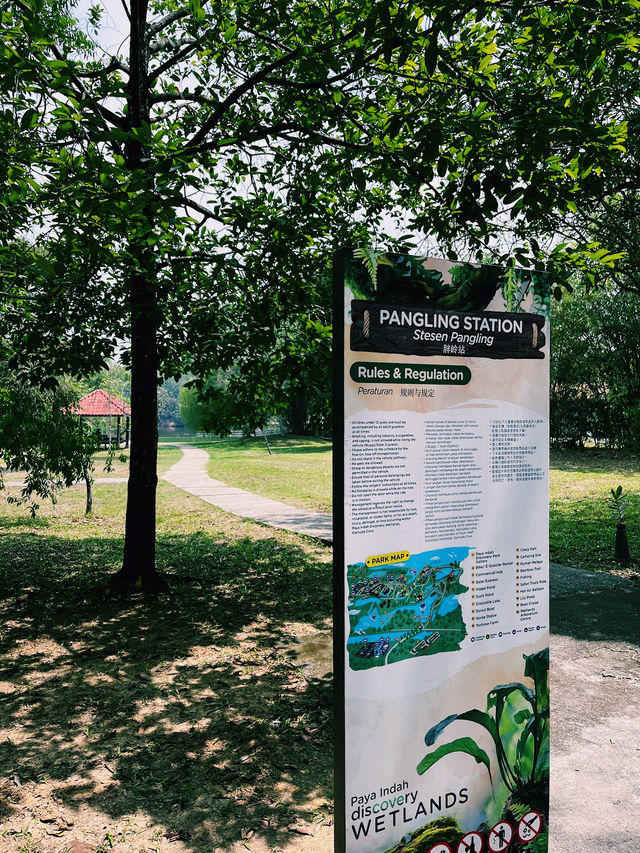 Into the Wild: First Impressions at Paya Indah Wetlands