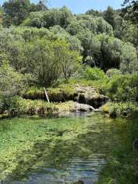 Waterfalls, Moss, and Chill Forest Vibes at Río Cuervo