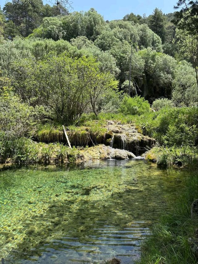 Waterfalls, Moss, and Chill Forest Vibes at Río Cuervo