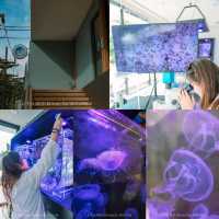 รีสอร์ทวิวทะเลแบบพาโนราม่า ในหาดกมลา ภูเก็ต