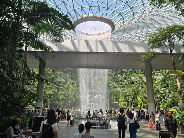 新加坡樟宜國際機場-星耀樟宜