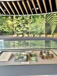 🌿Leaf Through Knowledge: Hidden Green Gem at Herbarium, Perdana Botanical Gardens