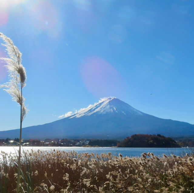 Mt. Fuji View from Oshino Hakkai (忍野八海):