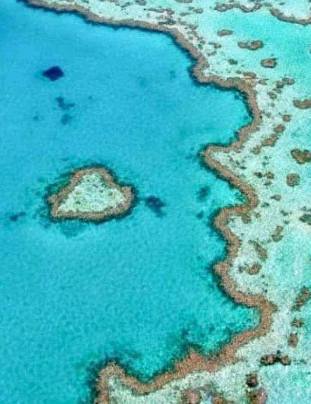 Whitsunday