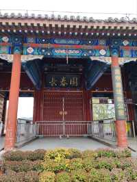 First Glimpse: The Ginkgo Boulevard of Yuanmingyuan