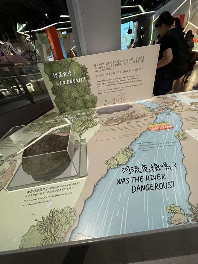 🇭🇰 Paleontology Gallery in Hong Kong Science Museum  🇭🇰 Paleontology Gallery in Hong Kong Science Museum