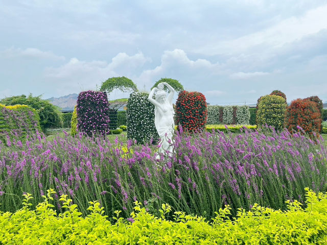 台灣台中后里-中社觀光花市🌼 台灣台中后里-中社觀光花市🌼