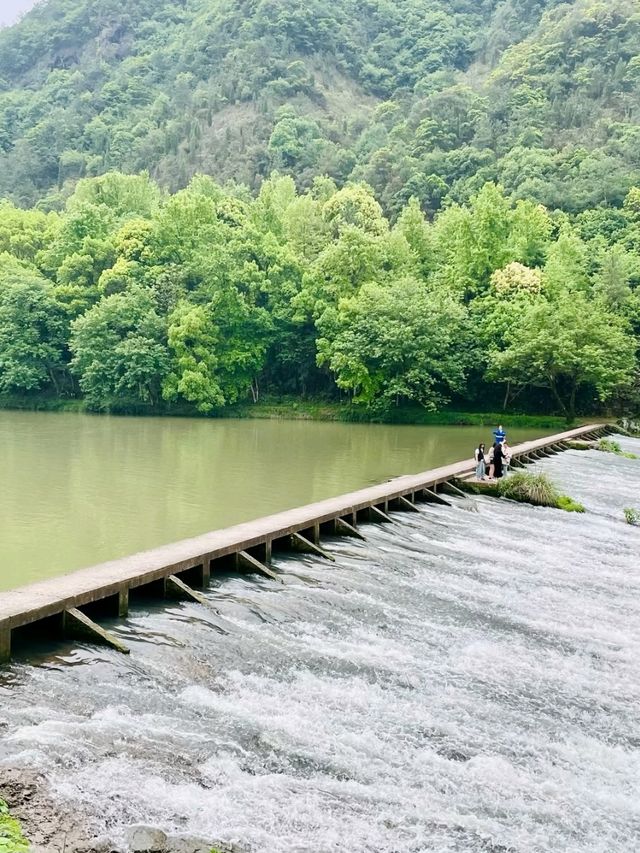 Jinyun Xiandu National Scenic Area