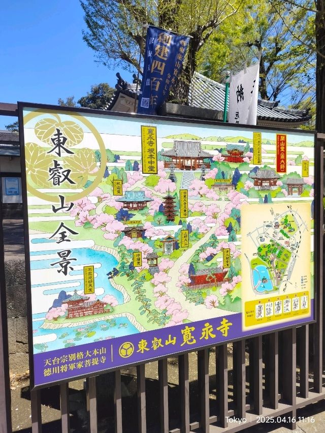 สุ่มเครื่องราง 東叡山寛永寺開山堂 Ueno park