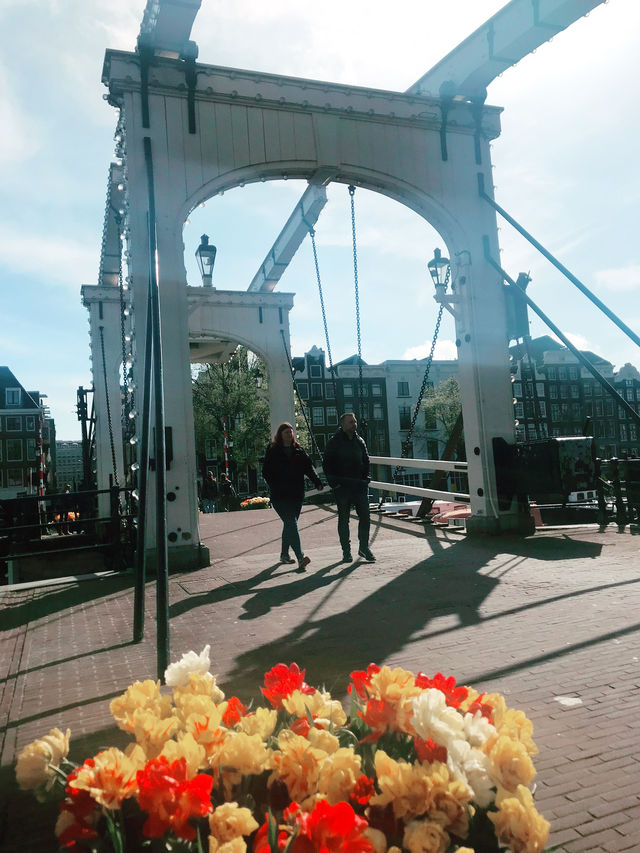 🌉 アムステルダムの朝、マヘレ橋のそばで 🌉 アムステルダムの朝、マヘレ橋のそばで