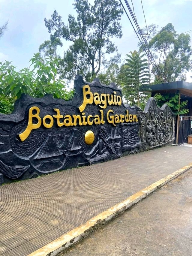 Baguio Botanical Garden: A Peaceful Nature Escape